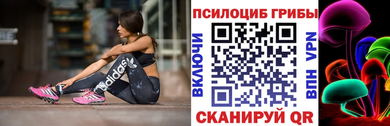 Псилоцибиновые грибы мицелий Аткарск
